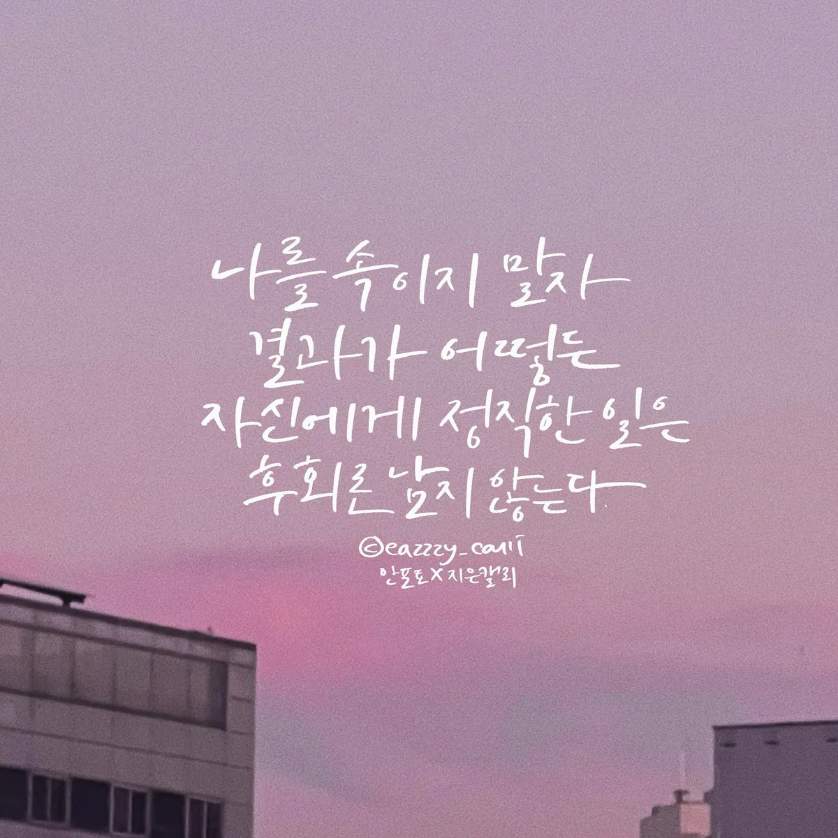 이미지 3