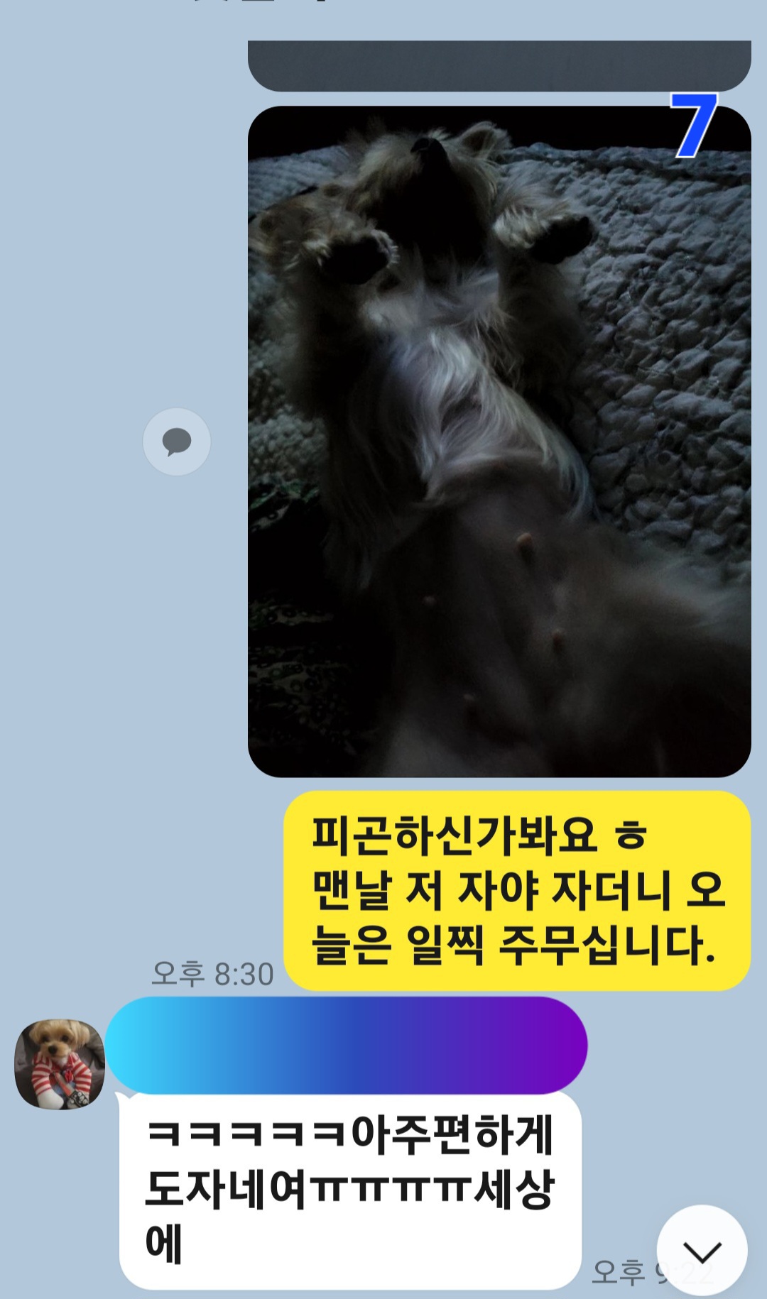 이미지 9