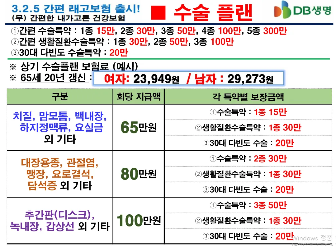 이미지 3