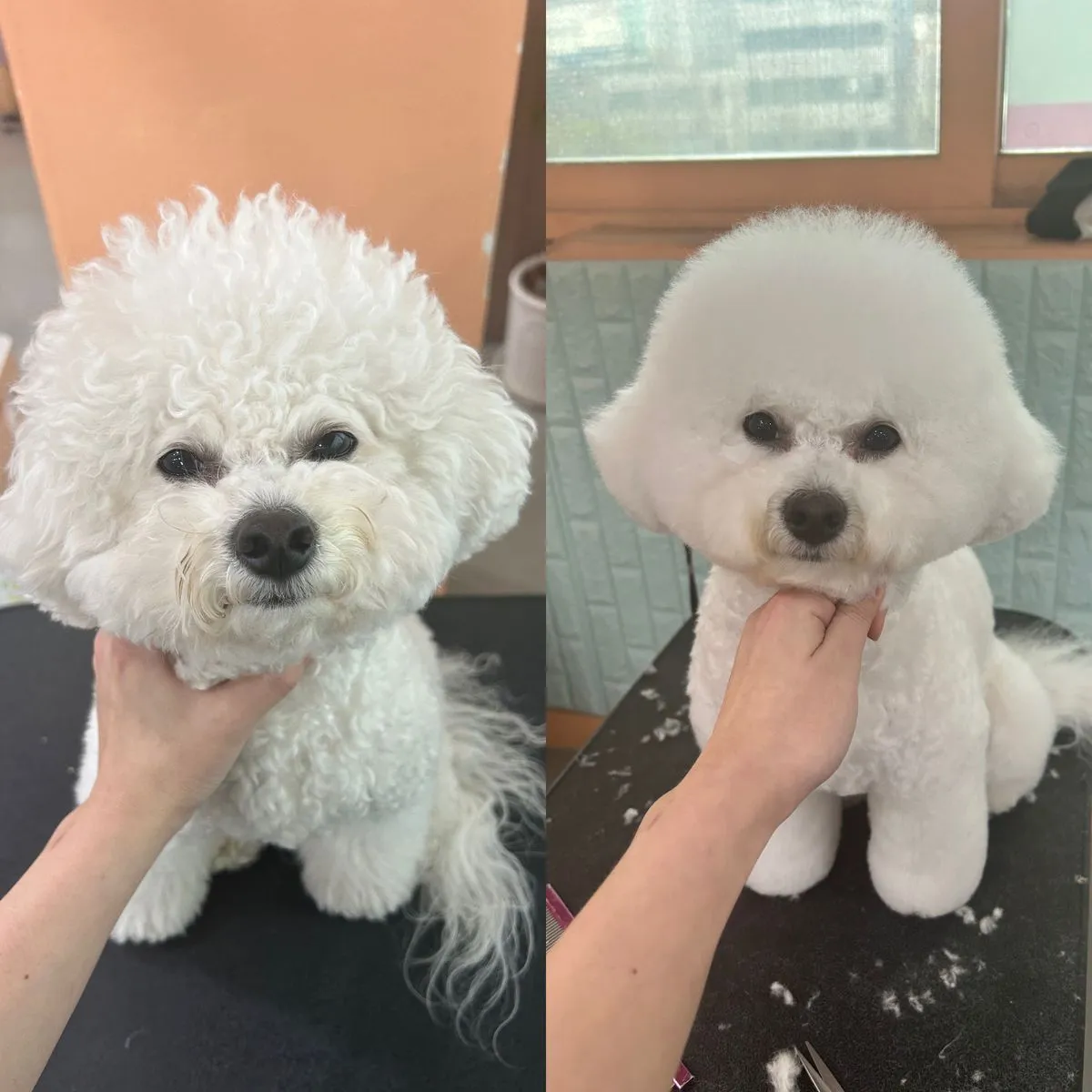 이미지 2