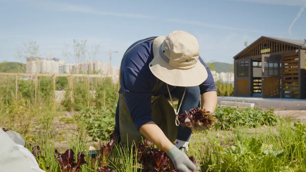 이미지 8