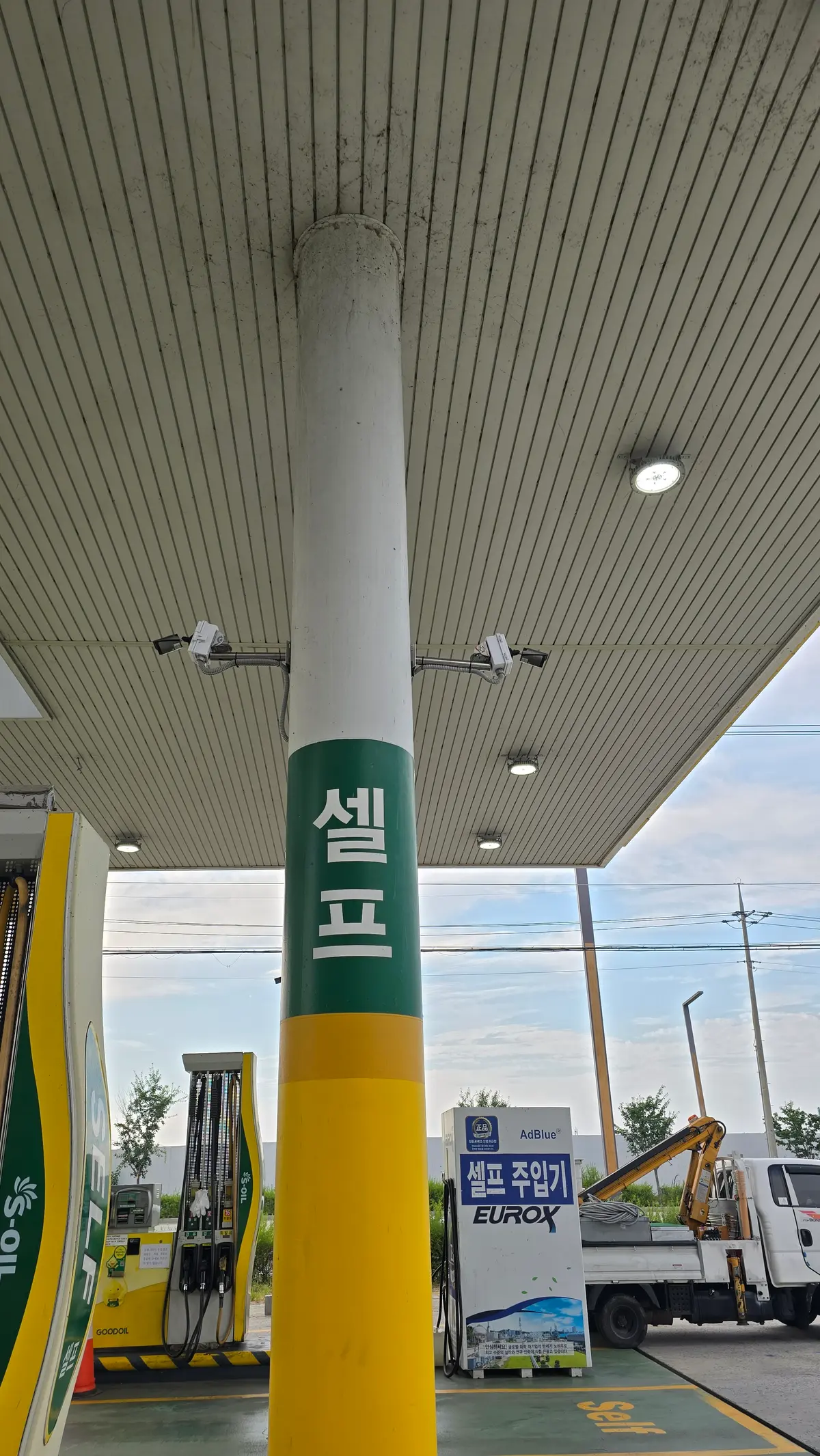 이미지 4