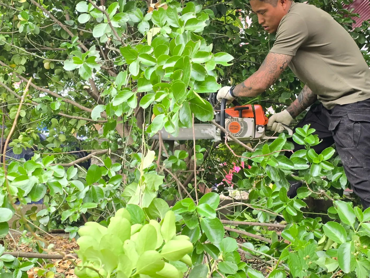 포트폴리오 이미지