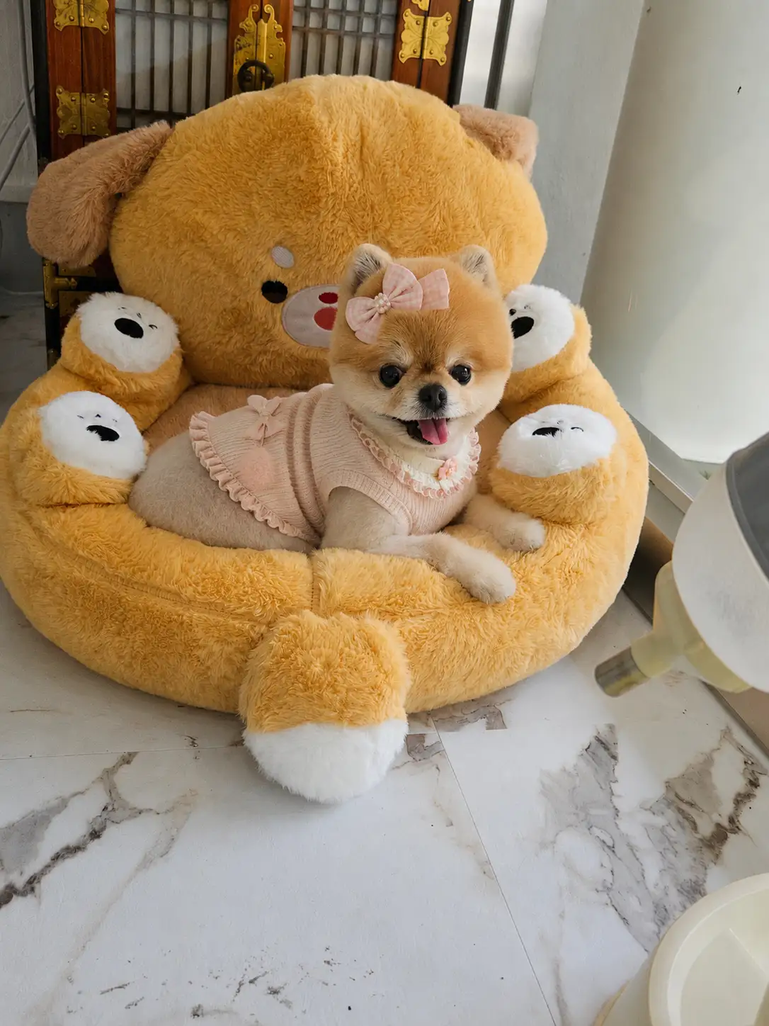 이미지 28