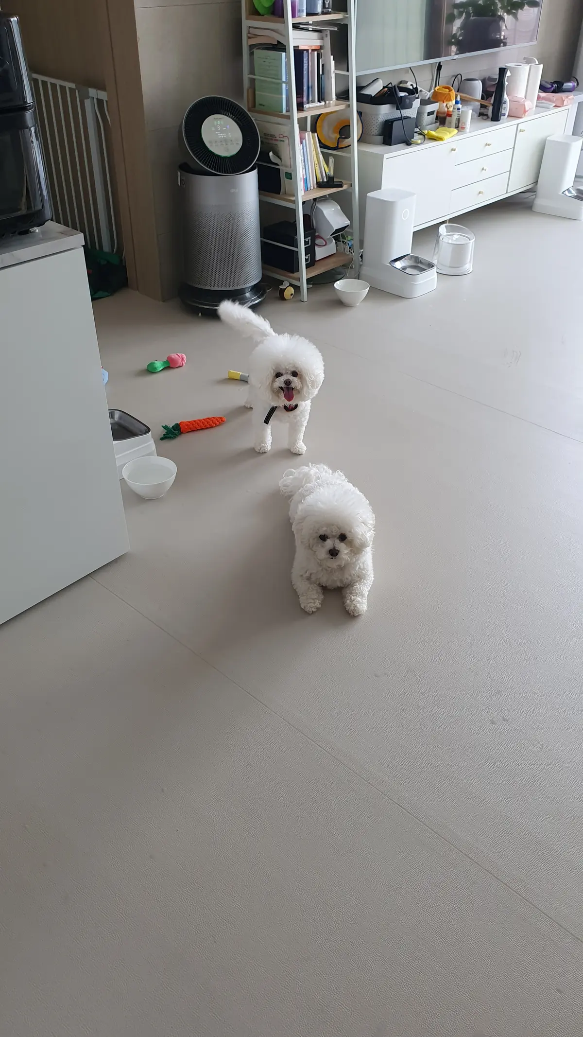 이미지 8
