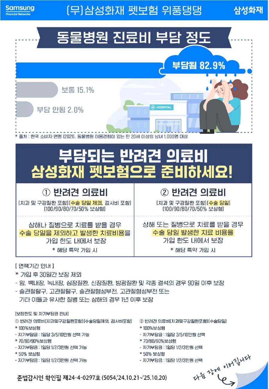 이미지 5