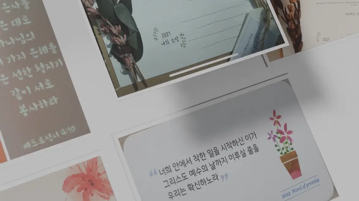 이미지 12