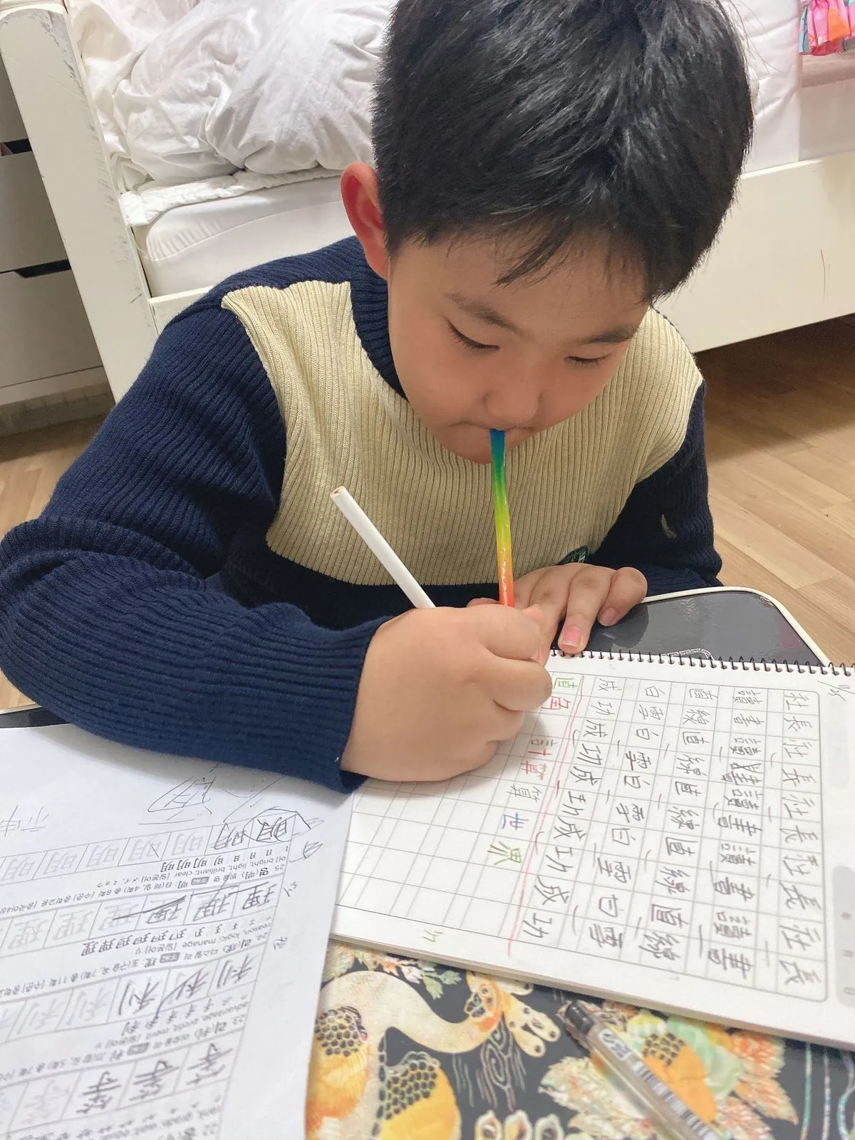 포트폴리오 이미지