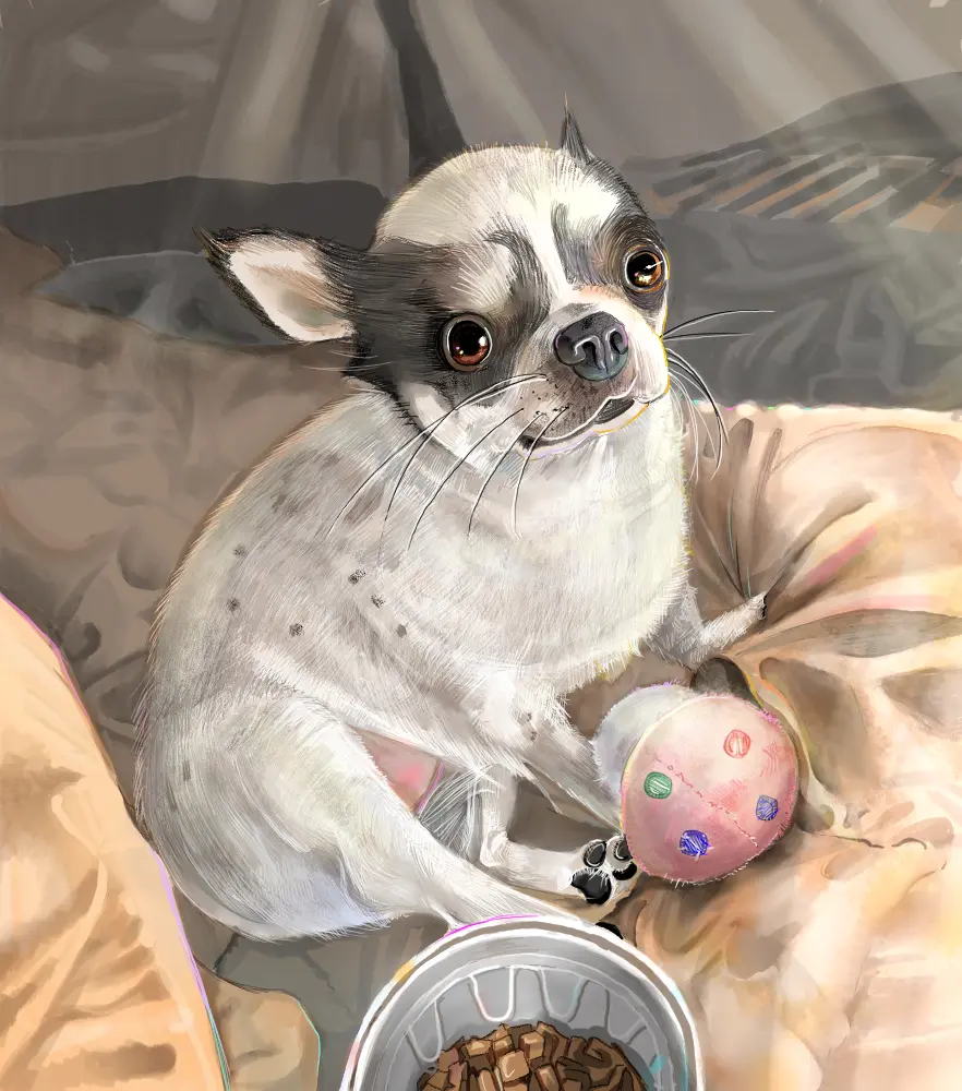 포트폴리오 이미지