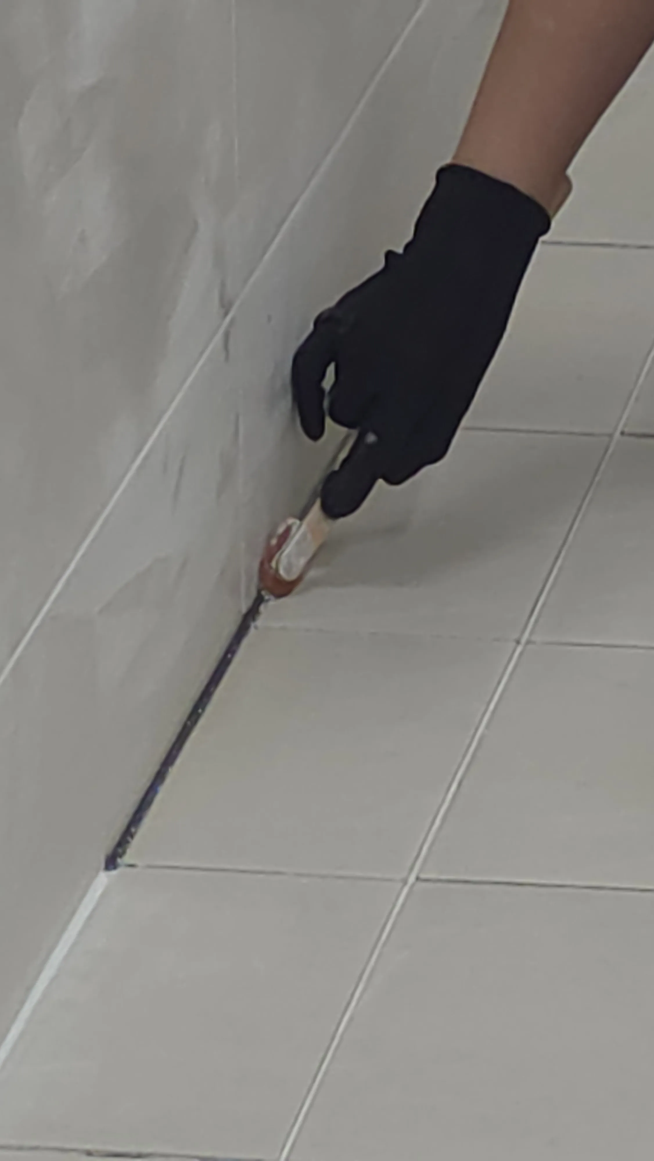 이미지 8