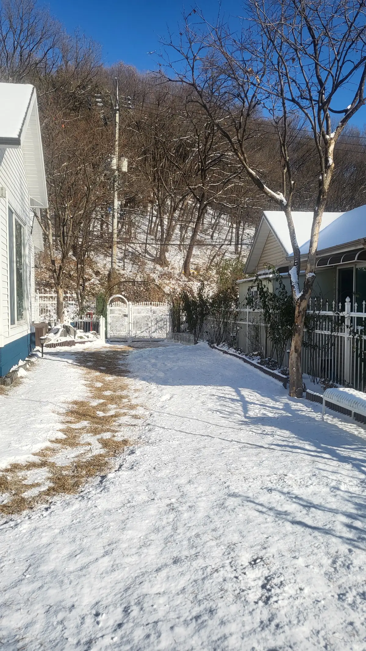 이미지 5