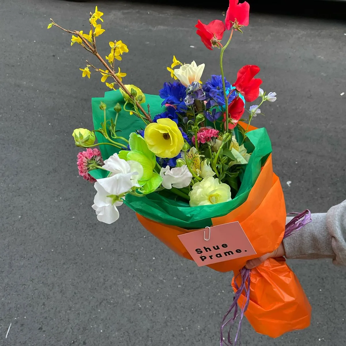 포트폴리오 이미지