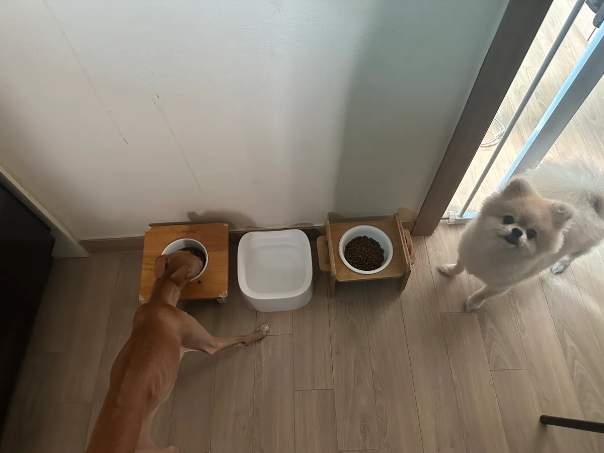 이미지 4