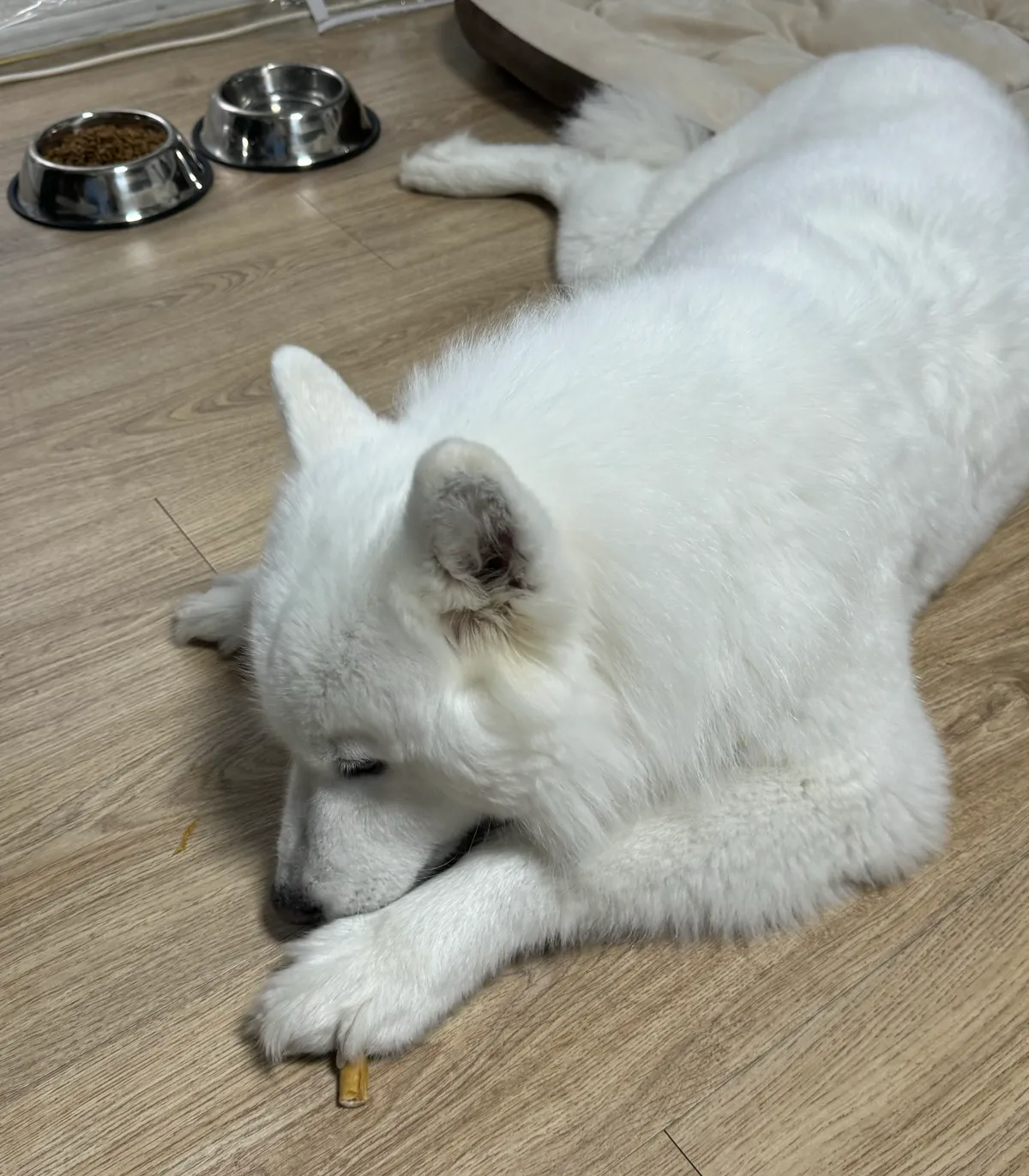 이미지 4