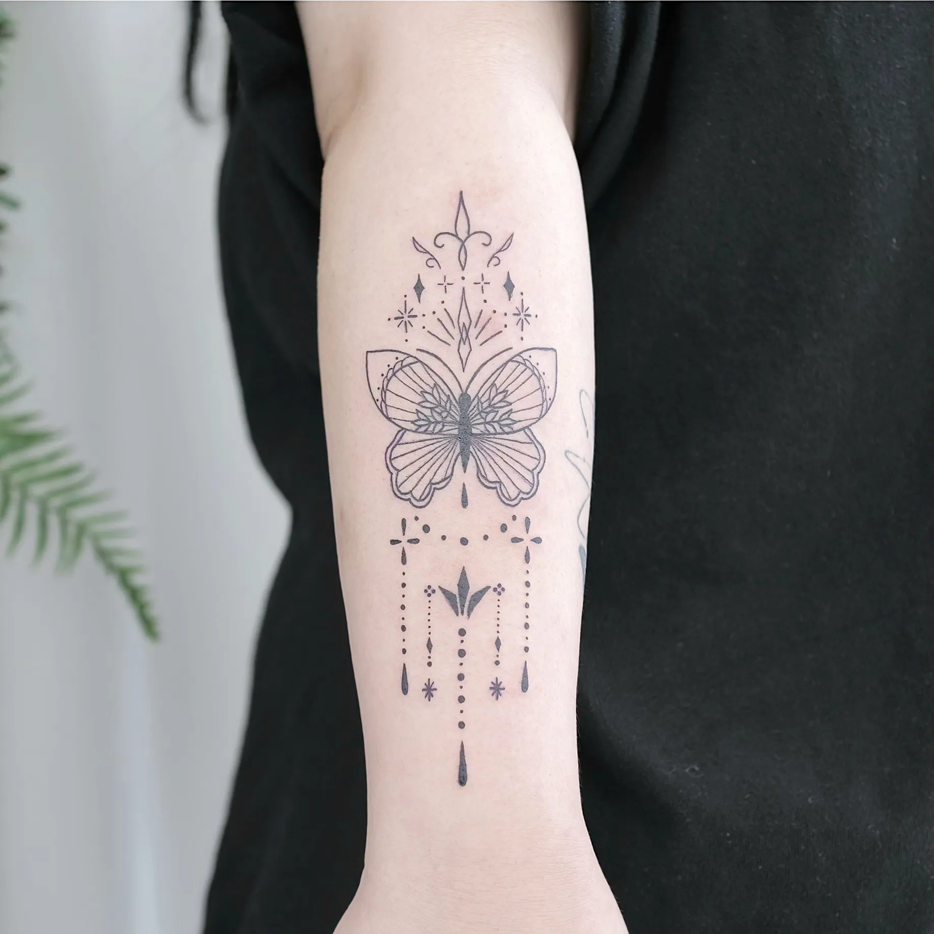 이미지 5