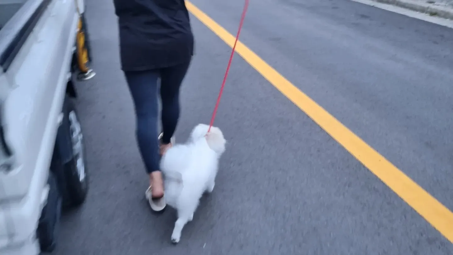이미지 7