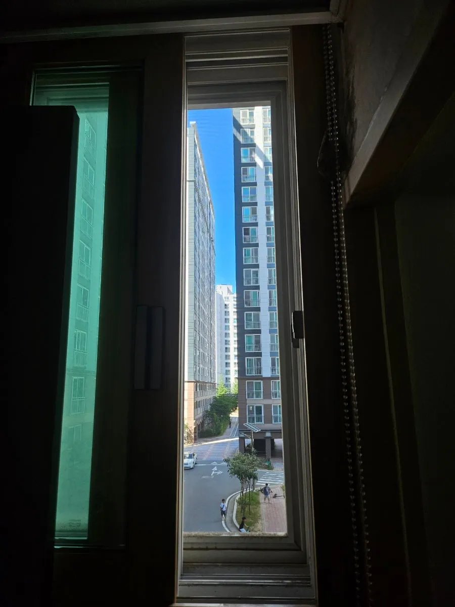 이미지 11