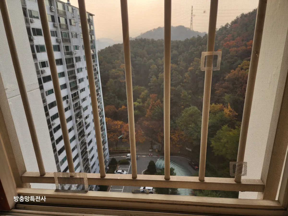 이미지 2