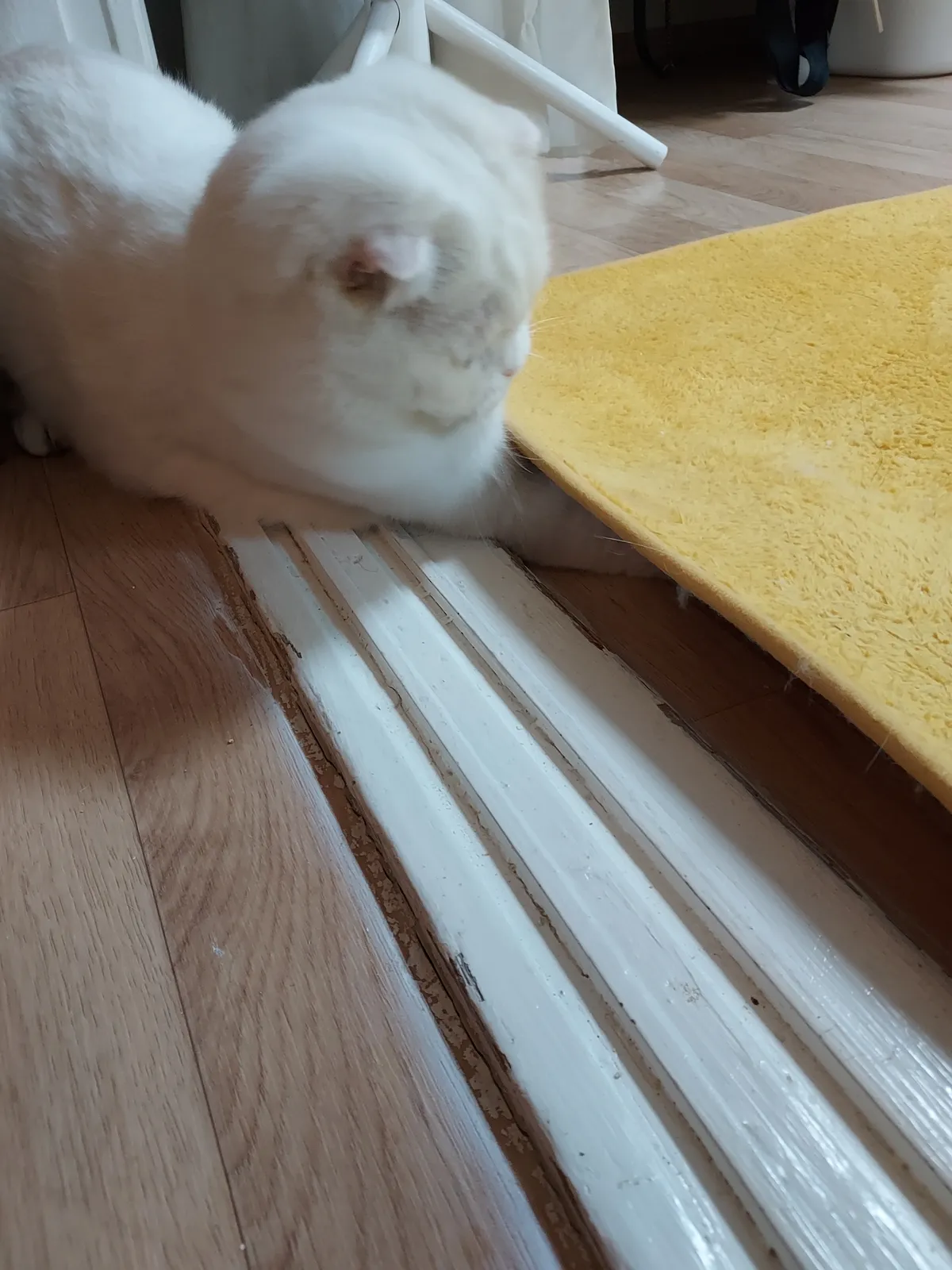 이미지 6