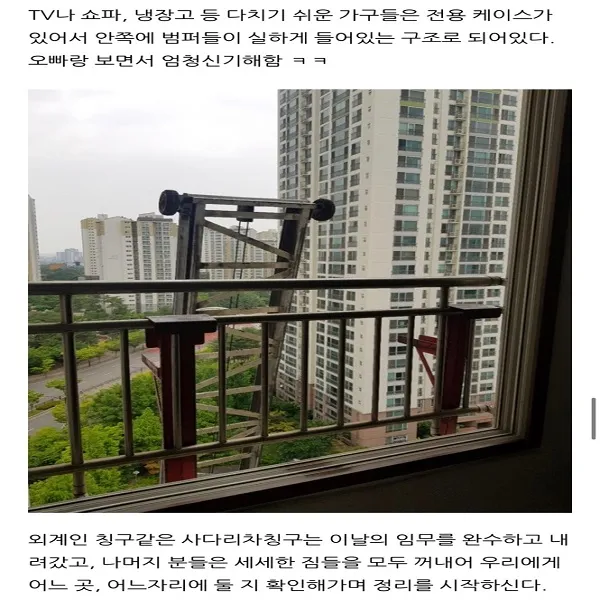 이미지 11