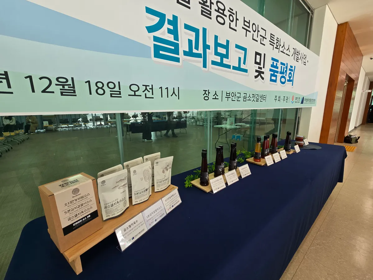 이미지 4