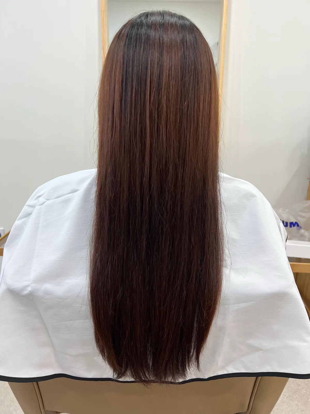 이미지 5