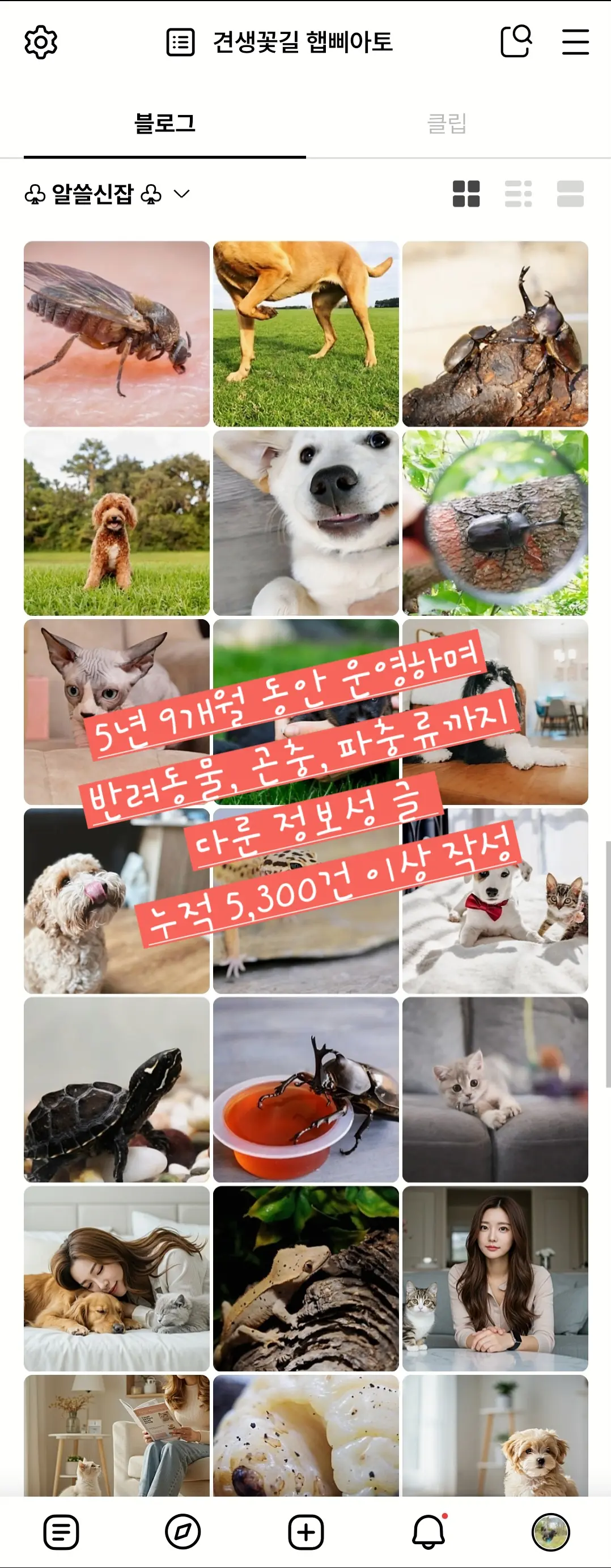 이미지 5