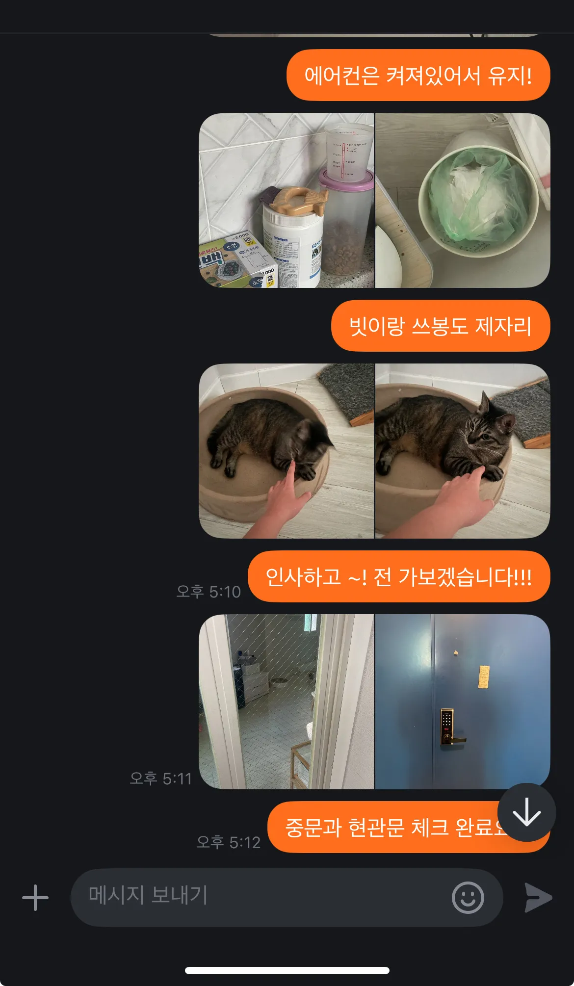 이미지 6
