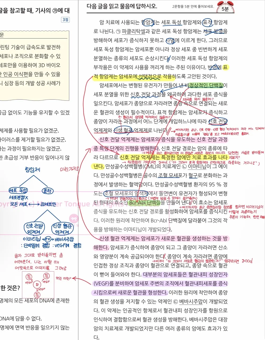 이미지 7