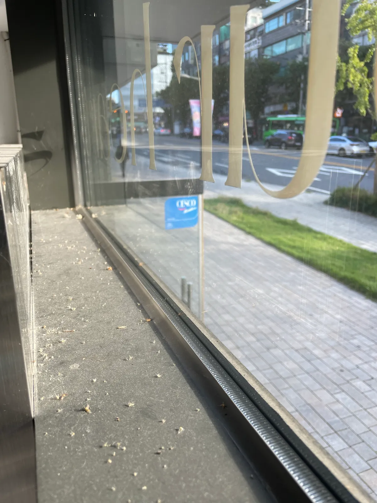 이미지 22