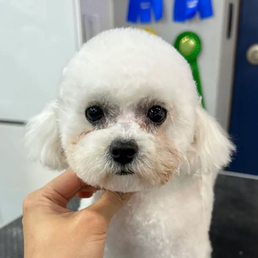이미지 9