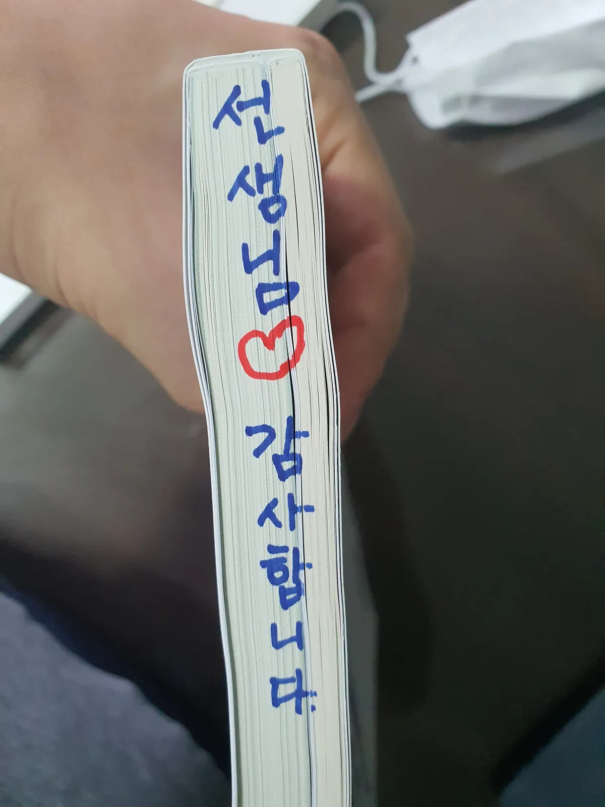 이미지 5