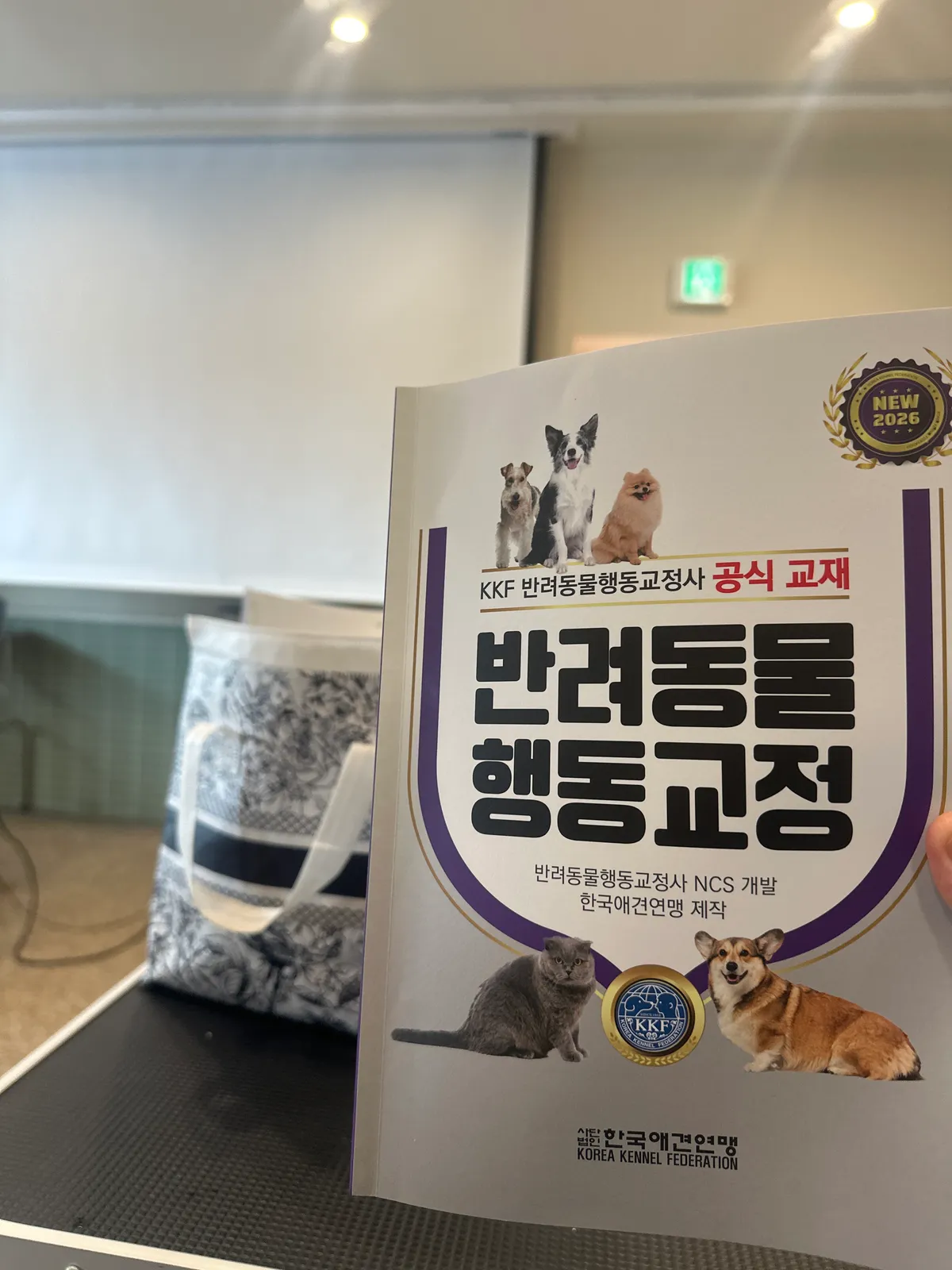 이미지 10