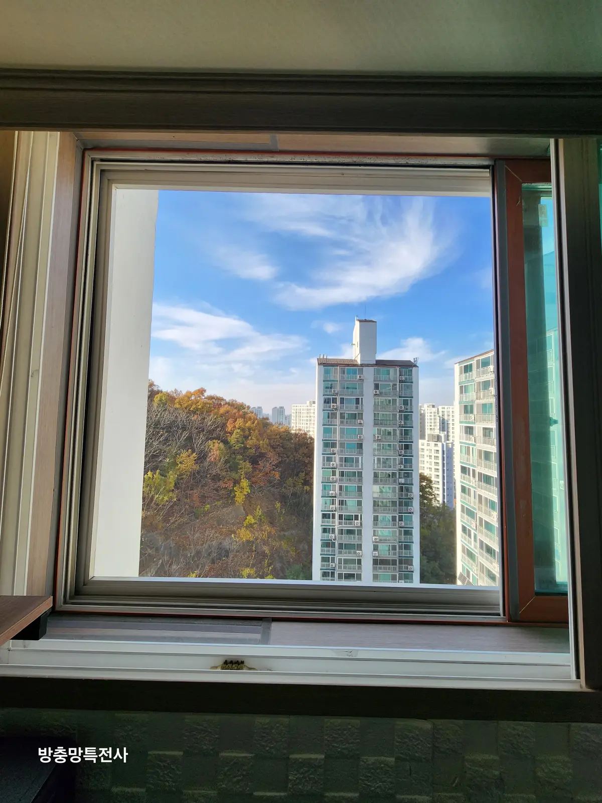이미지 28
