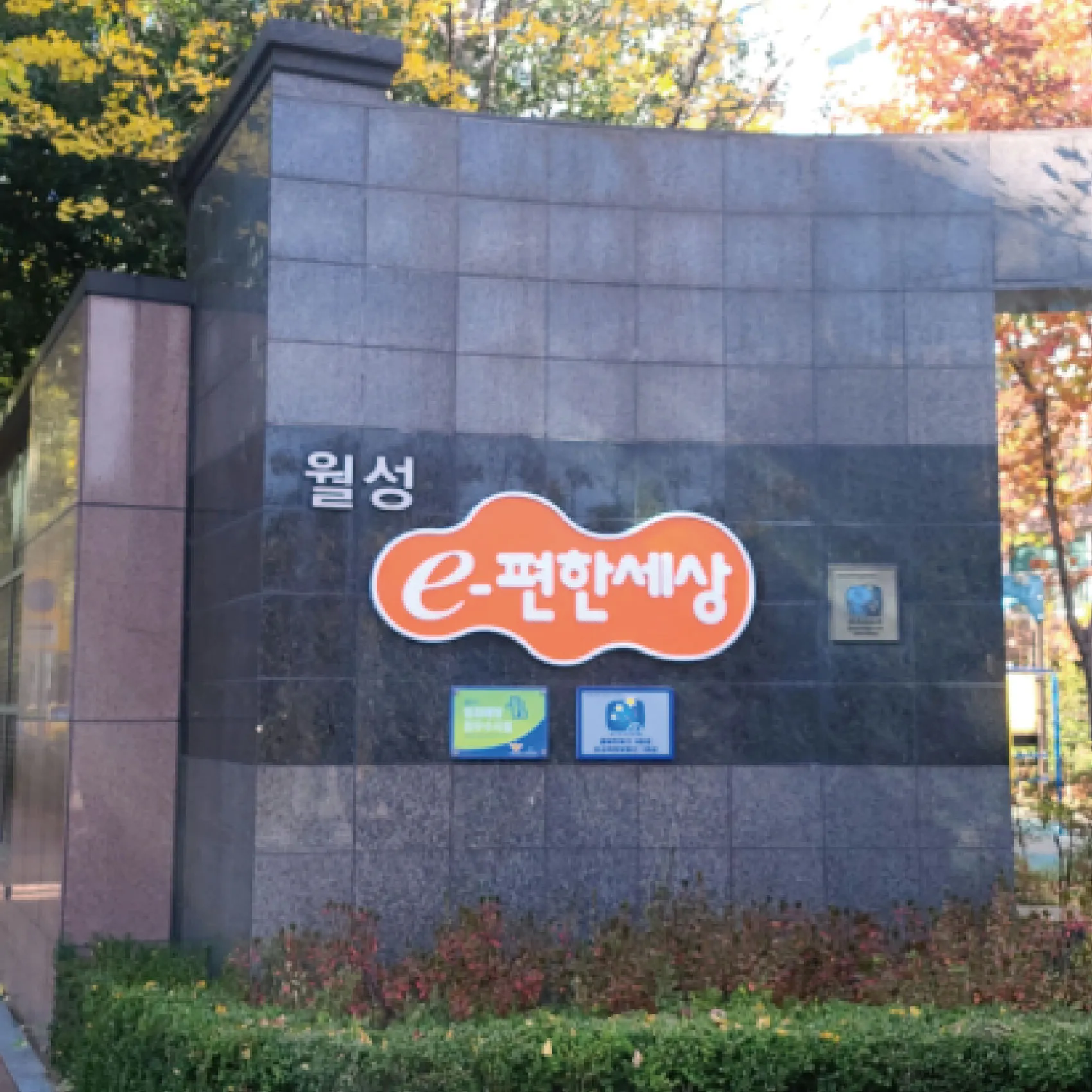 이미지 12