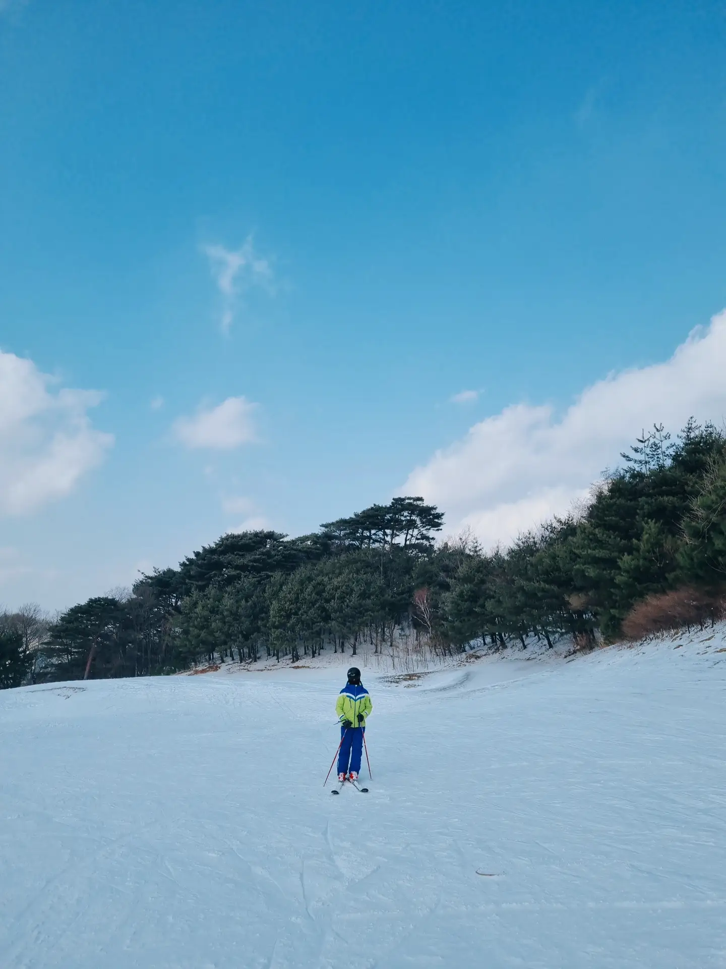 이미지 4