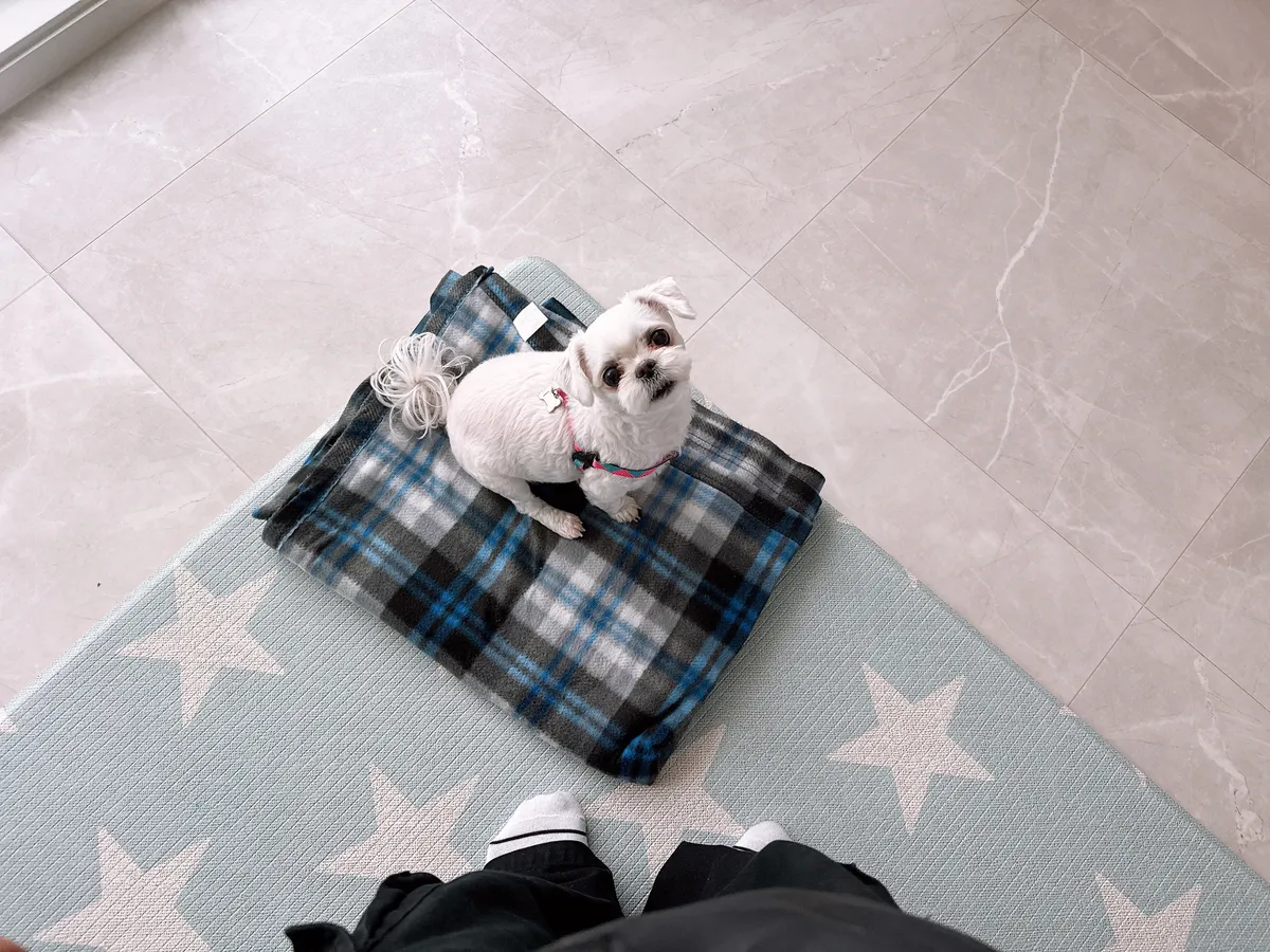 이미지 9