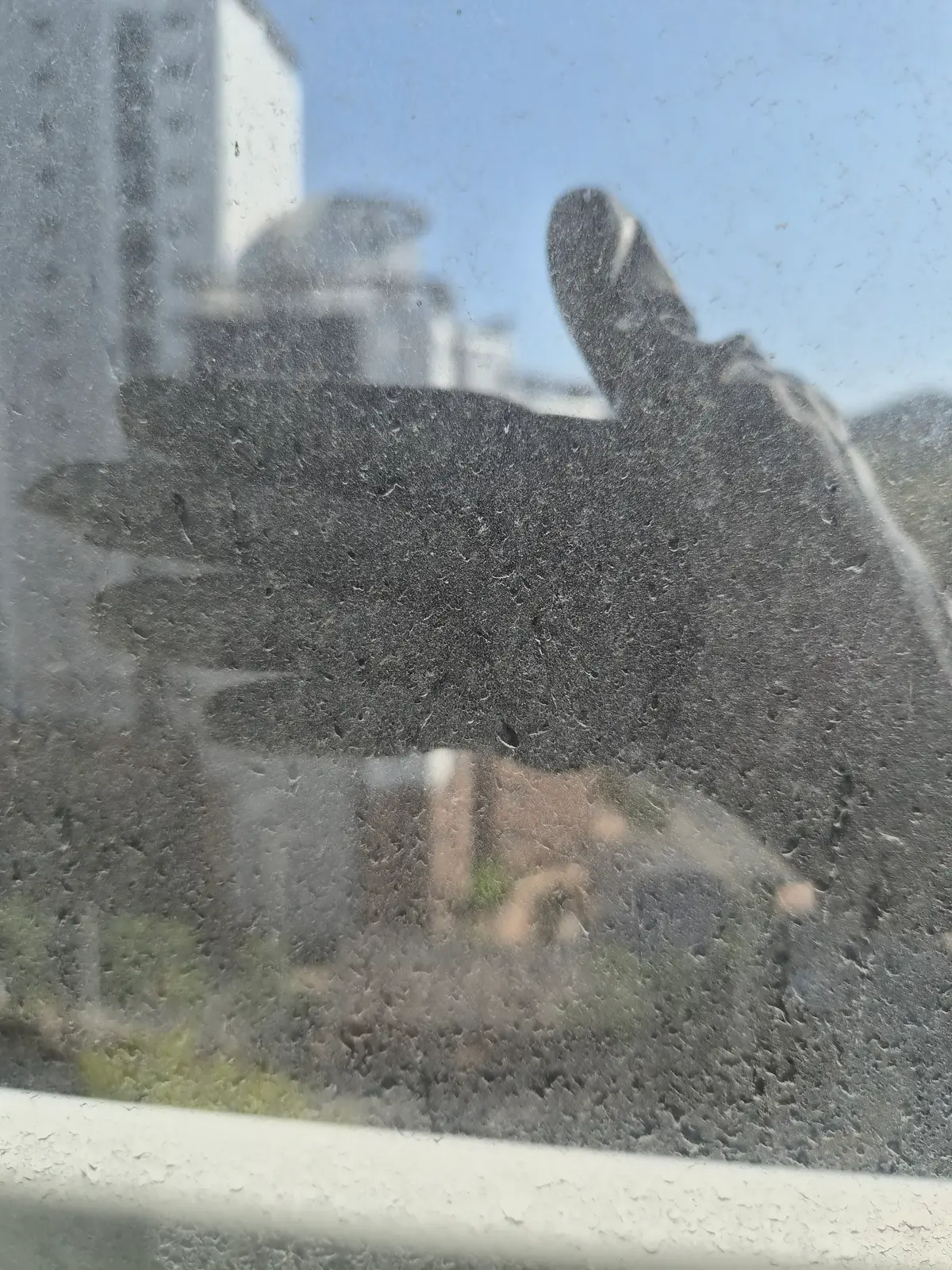 이미지 3