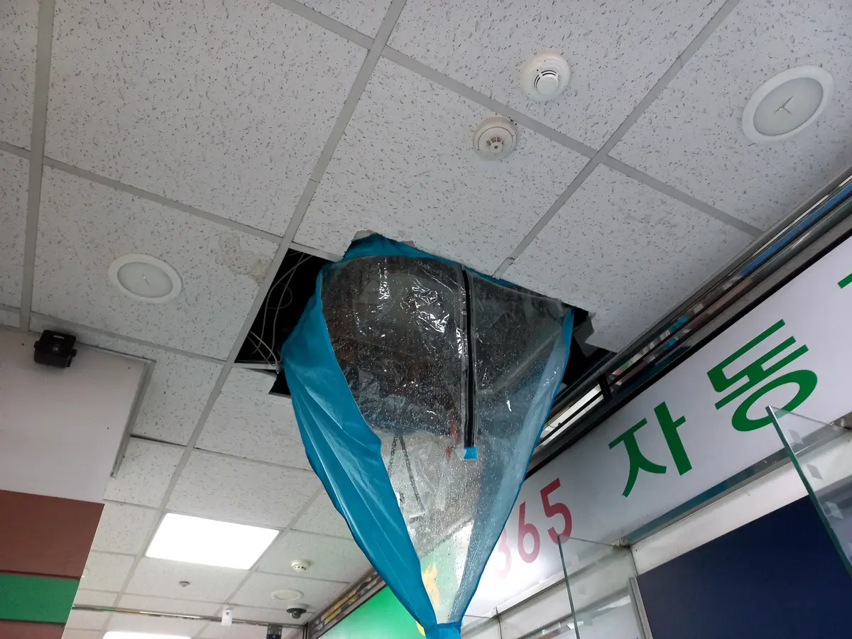 이미지 9