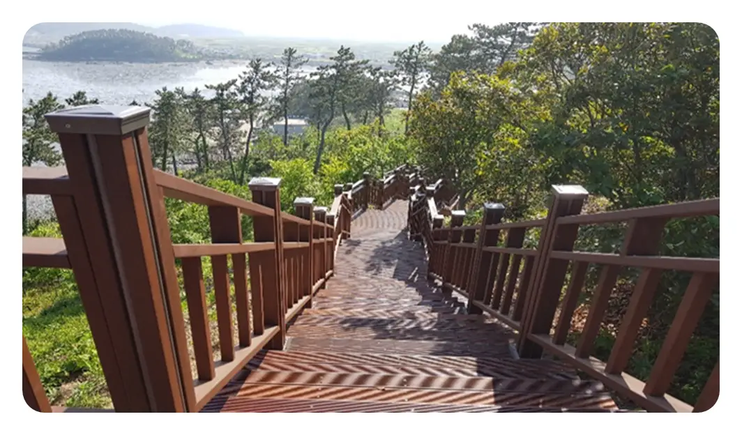 이미지 20