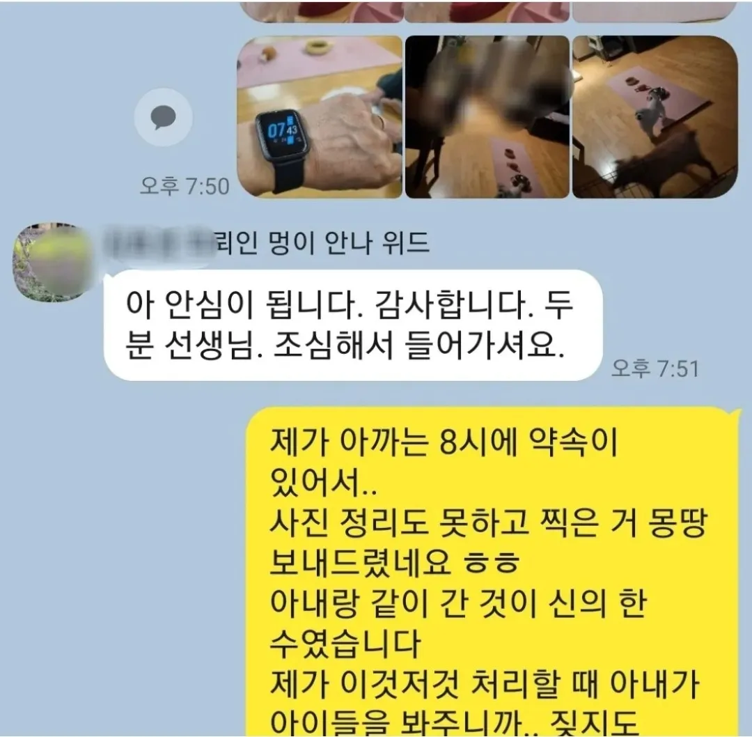 이미지 7