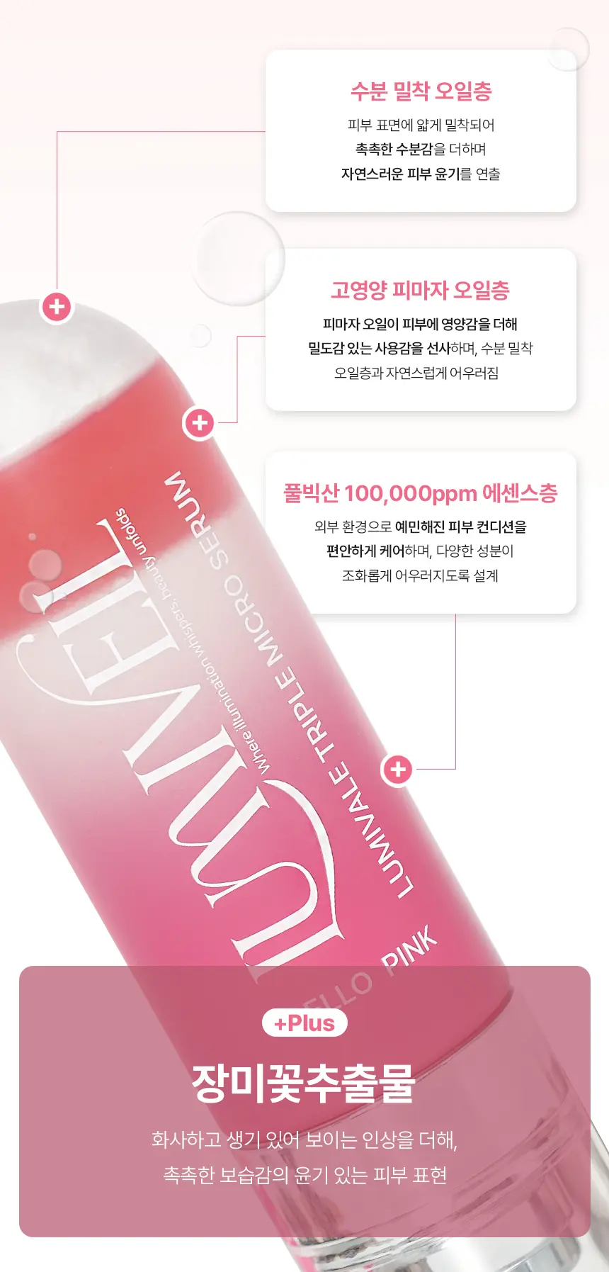 이미지 6