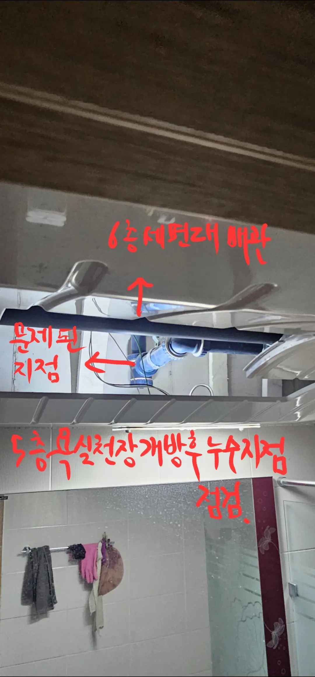 이미지 4