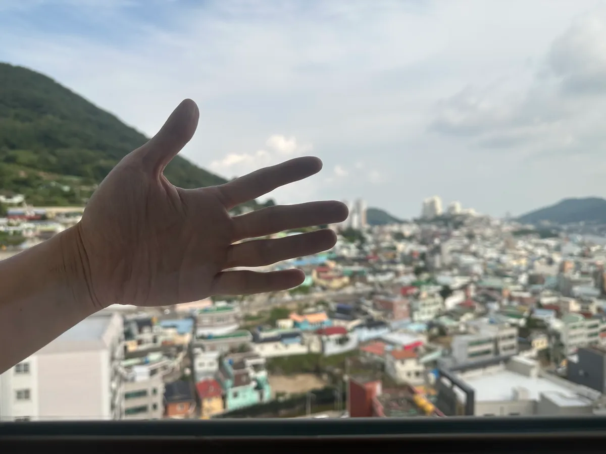 이미지 3
