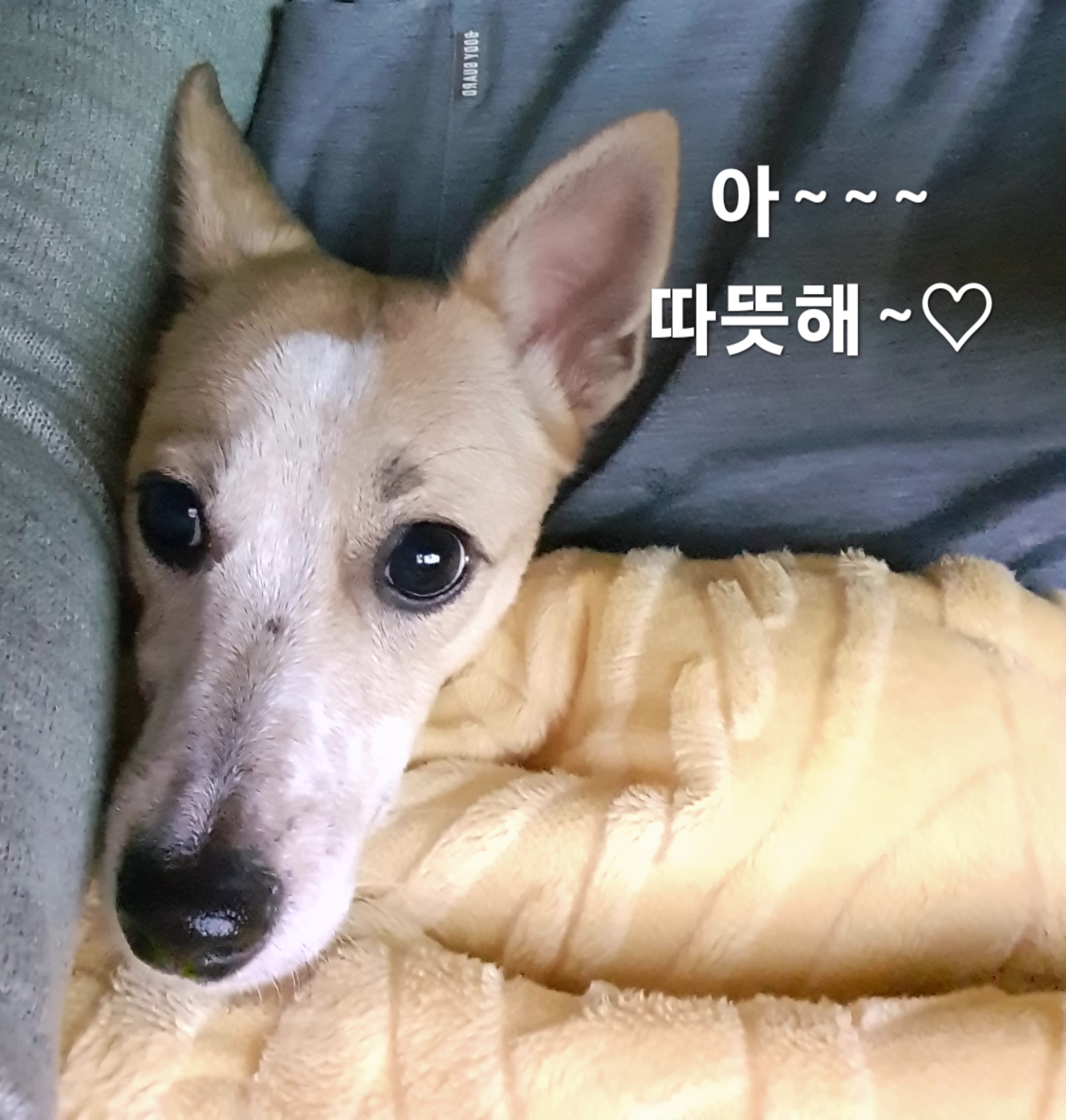 이미지 4