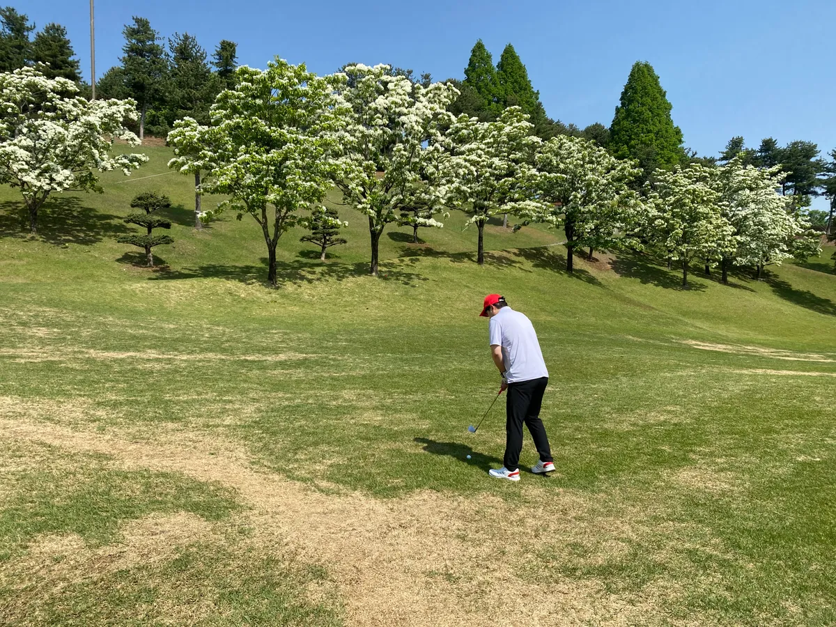 이미지 8