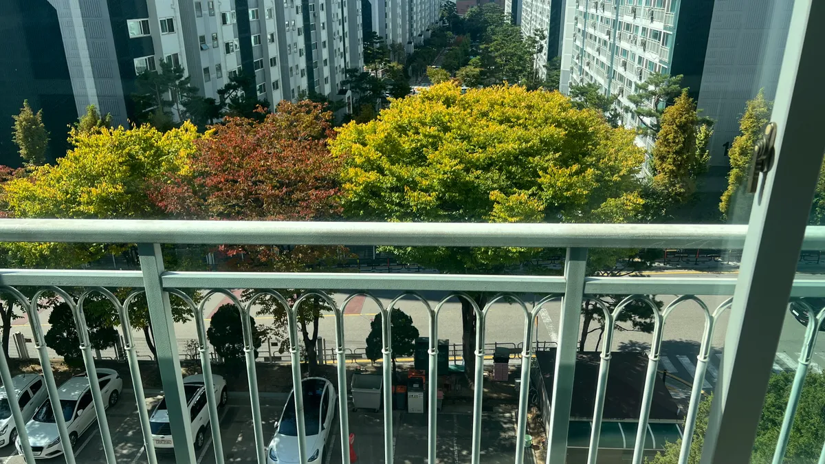 이미지 6
