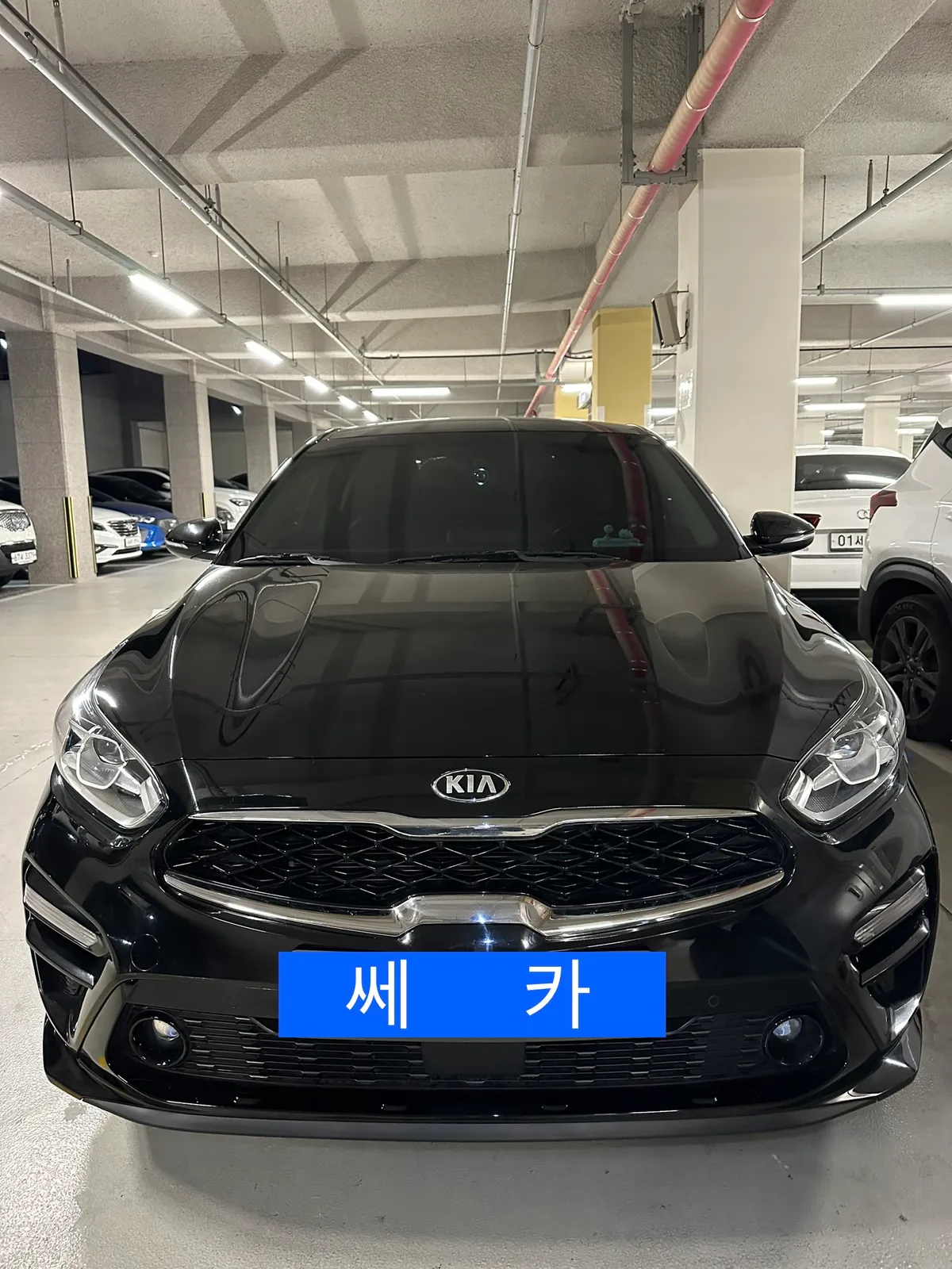 이미지 3