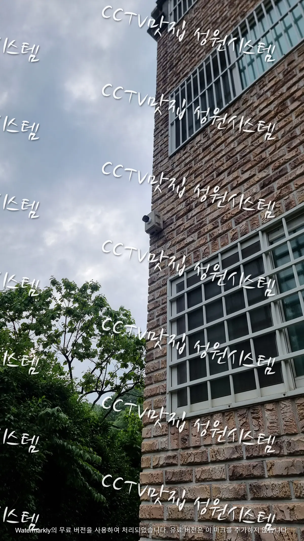 이미지 3