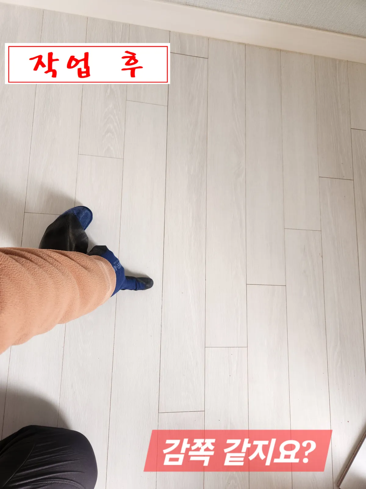 이미지 8